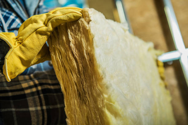Best Geographic-Specific Insulation Services in Statesville, NC